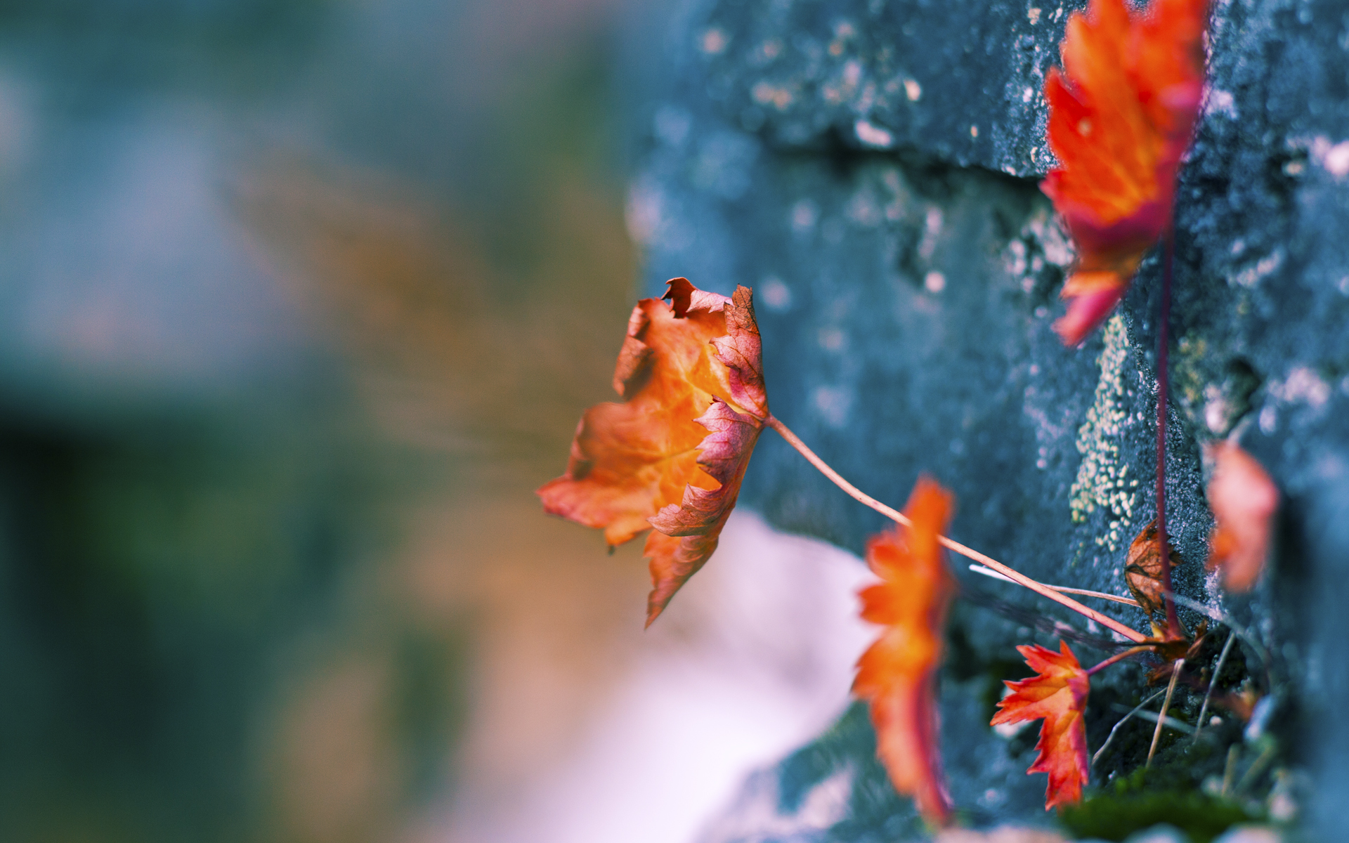 【虚拟现实训练】让青少年运动员提前进入比赛状态，虚拟现实比赛作品