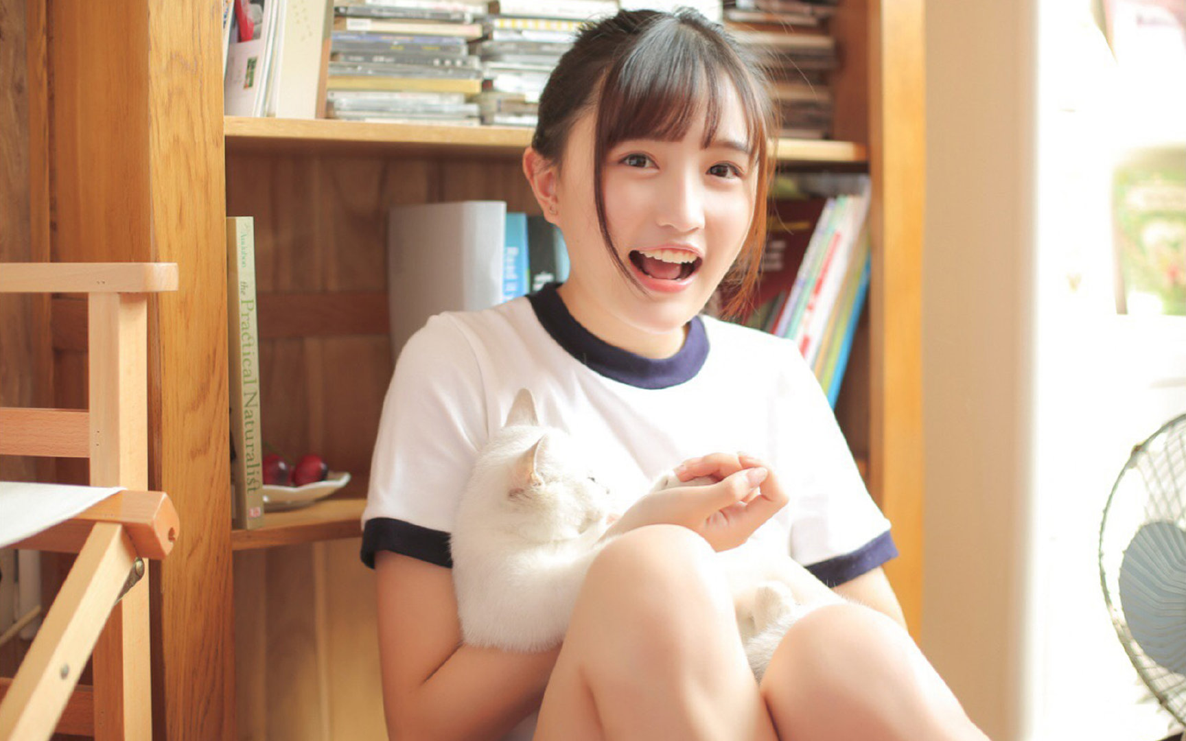 传统民族纸艺运动会,文化与运动的特色盛典,纸艺活动有哪些