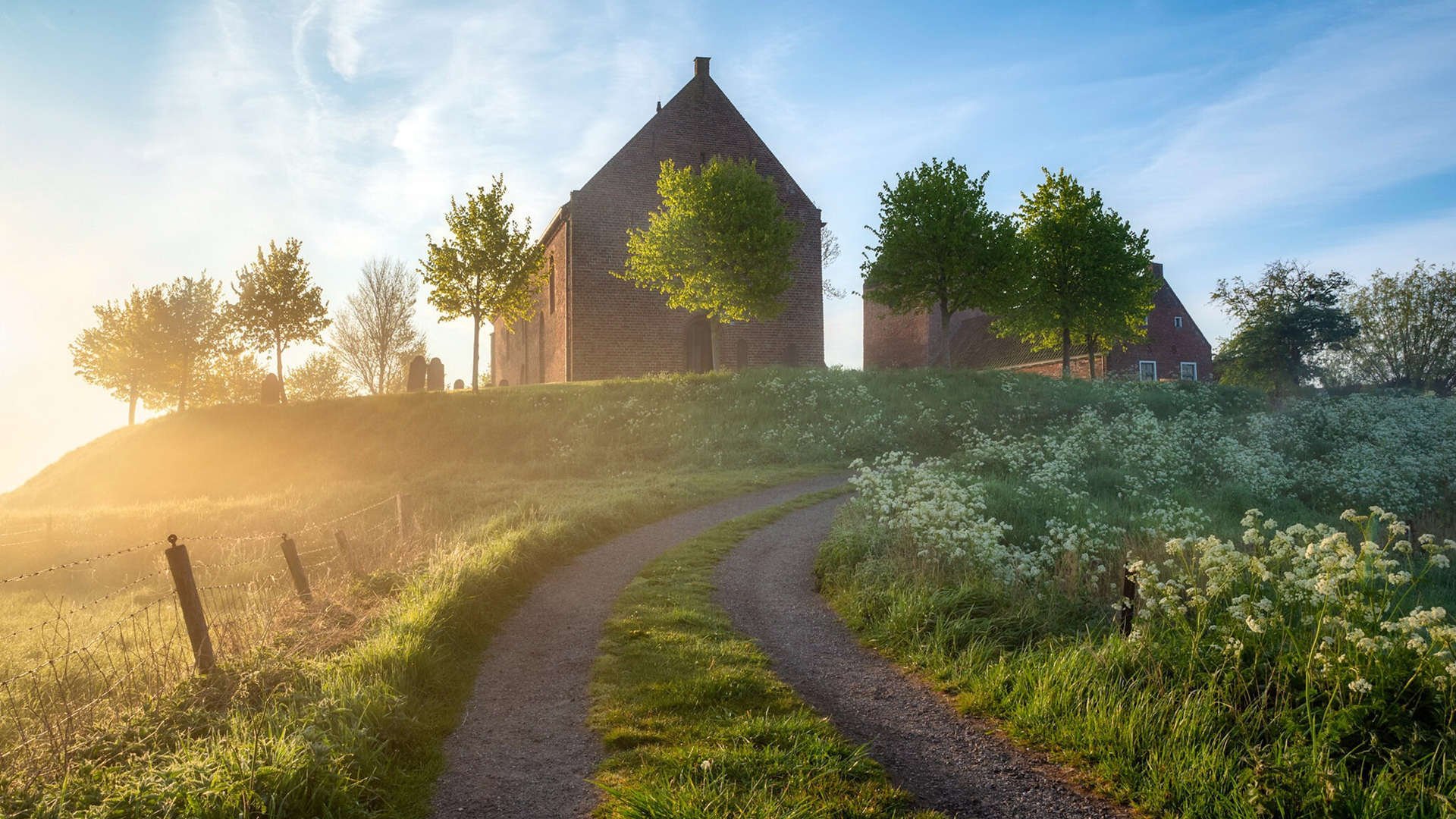 夺冠秘籍：冠军队伍的战术精髓深度剖析，冠军技巧