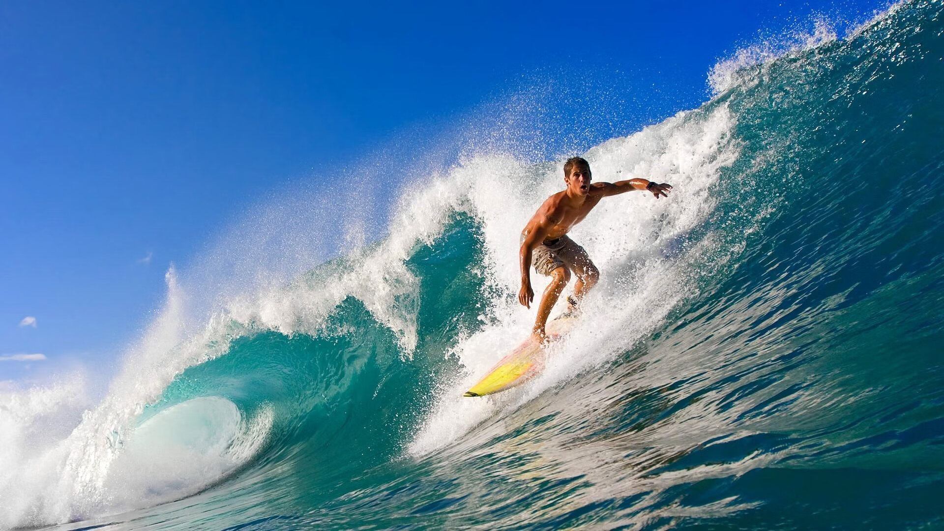 体育公益活动积极开展，体育公益组织