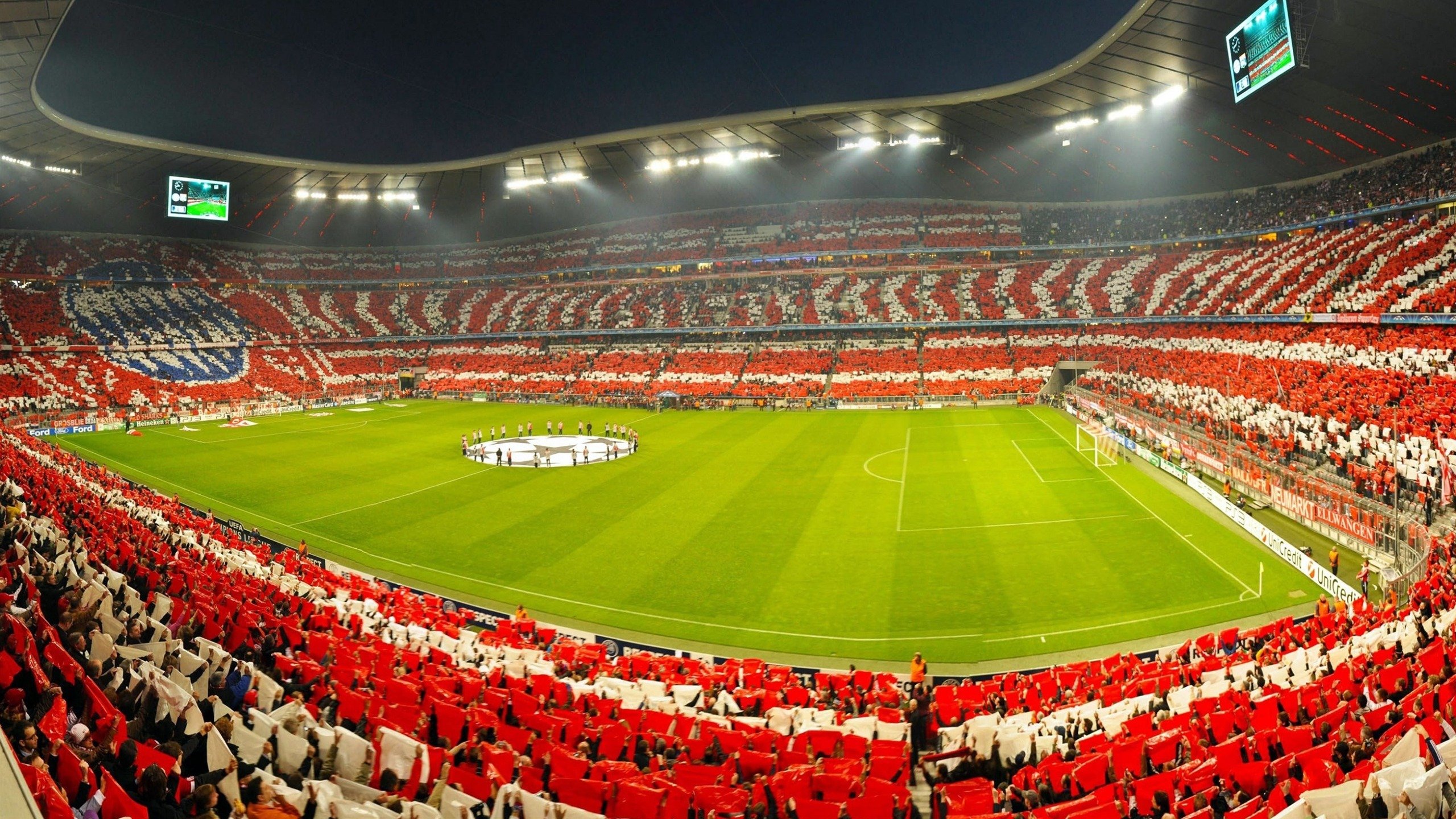 卢卡斯·梅尔滕斯：德国自由泳的坚实支柱