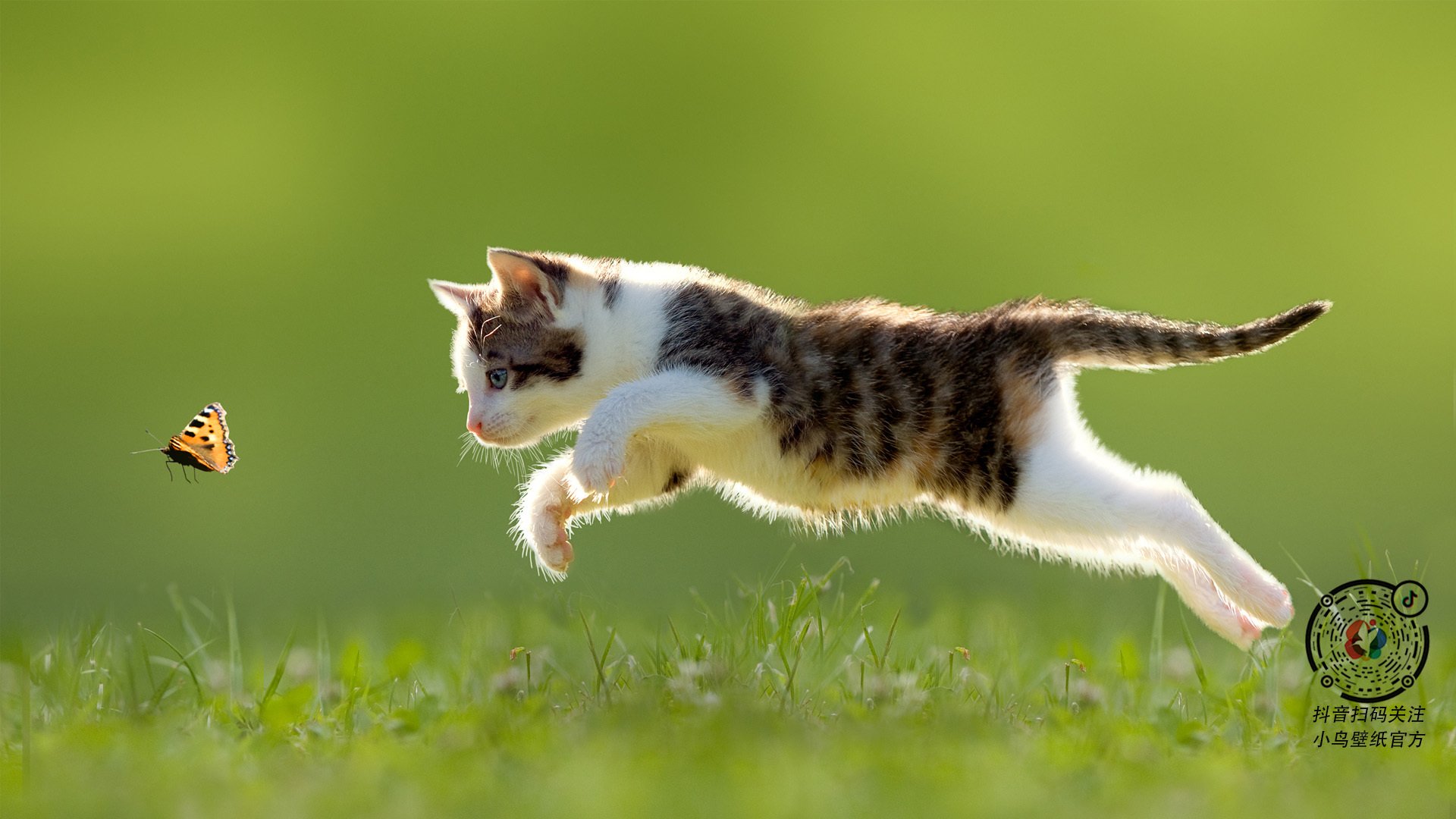 “激烈争夺！开幕战中的精彩瞬间和策略较量”，开幕战什么意思